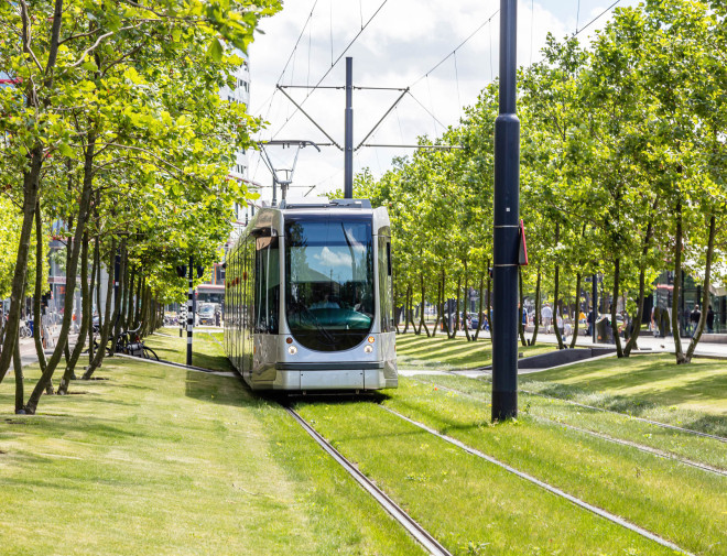 Een tram die rijdt door een groene omgeving in een stad